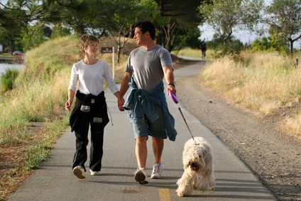 couple_walking_dog_377544