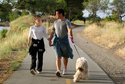 couple_walking_dog_377544