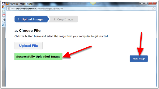 You will see a Green Sucessfully Uploaded Image bar appear