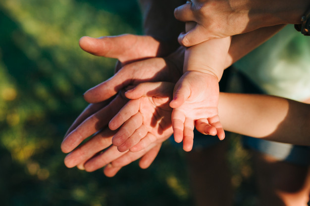 parents and their children hands